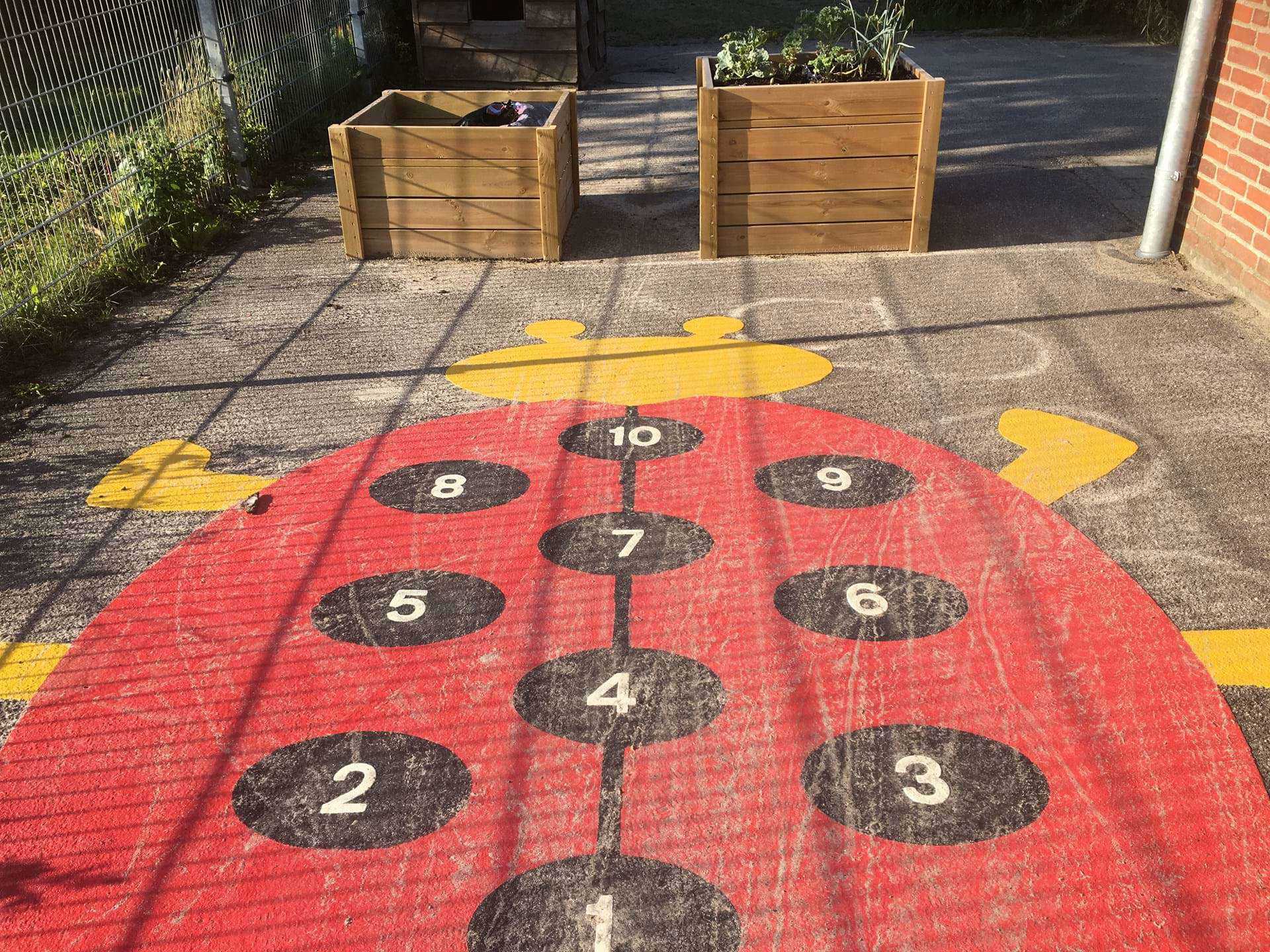 Evigglads mariehøne på asfalt